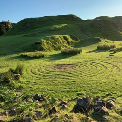 Fairy Glen - Rings/circles of the Faerie Glen.