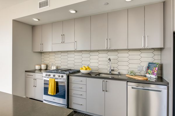1717 Webster by null
