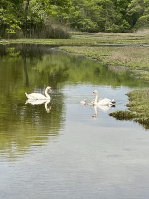 Rocky Neck State Park by null