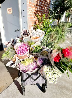 Tartine Sycamore by null