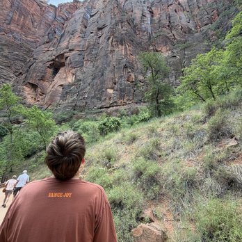 Zion National Park - My son craning his neck to see the top - Parks Near Me Zion National Park - My son craning his neck to see the top - Parks Near Me