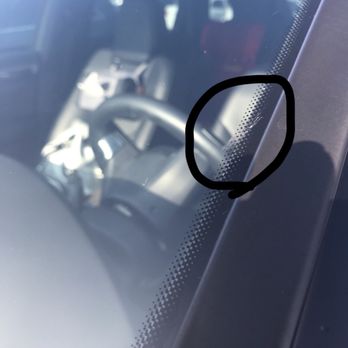 Andy's Detail Services - Dead bug. - Auto Detailing Near Me