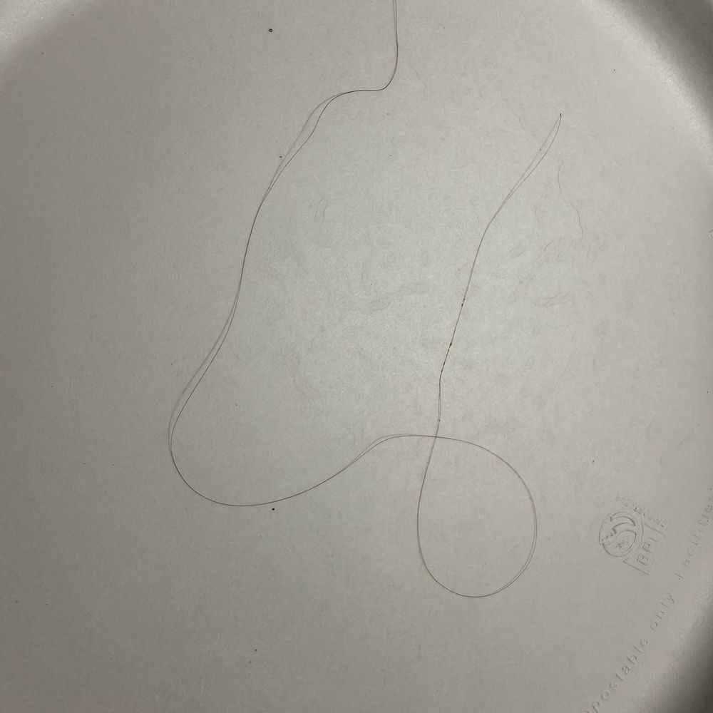 Zaxbys - The hair found inside the boneless wings - Fast Food Near Me - Sylacauga, Alabama Zaxbys - The hair found inside the boneless wings - Fast Food Near Me - Sylacauga, Alabama