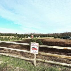 Lupton Nursery & Christmas Tree Farm