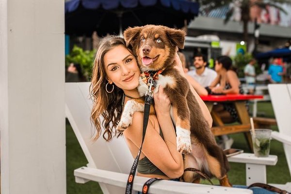 The Wharf Fort Lauderdale by null