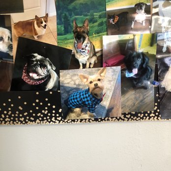 Rudy's Pawsome Kingdom - My grand pup, Benji (Blue shirt) gets groomed here and we absolutely love it! They take great care of him. - Pet Groomers Near Me - Duncanville, Texas
