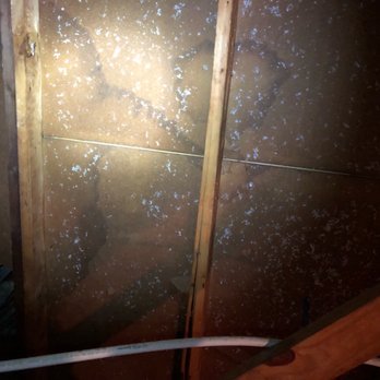 Paint Squad - PARTICLE BOARD not plywood was applied inside the siding. WHY???? - Painters Near Me - Orlando, Florida Paint Squad - PARTICLE BOARD not plywood was applied inside the siding. WHY???? - Painters Near Me - Orlando, Florida
