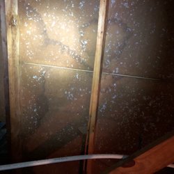 Paint Squad - PARTICLE BOARD not plywood was applied inside the siding. WHY????
