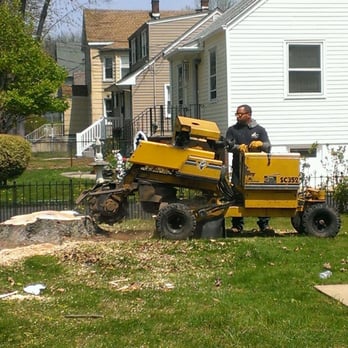 Royal Tree Service - Tree Services Near Me - Elizabeth, New Jersey Royal Tree Service - Tree Services Near Me - Elizabeth, New Jersey