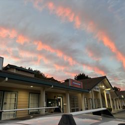 Pet Maintenance & Repair - Beautiful sunset while waiting to pick her up :)