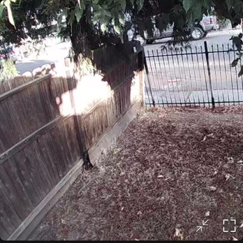 Castillo Fencing - Old fence is leaning bad! Look at the iron fence for reference in how much it's leaning, like three iron poles! - Fences & Gates Near Me - Sacramento, California Castillo Fencing - Old fence is leaning bad! Look at the iron fence for reference in how much it's leaning, like three iron poles! - Fences & Gates Near Me - Sacramento, California
