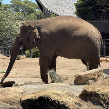 Taronga Zoo - Zoos Near Me - Mosman, NSW Taronga Zoo - Zoos Near Me - Mosman, NSW