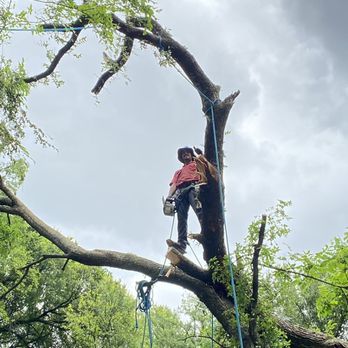 Brother’s Tree Trimming - Taking a break for the picture - Tree Services Near Me Brother’s Tree Trimming - Taking a break for the picture - Tree Services Near Me