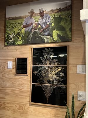 Rodriguez Cigar Factory by null