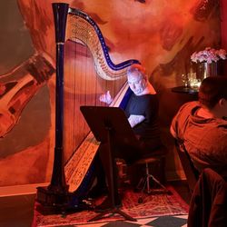 Tina's - Harpist at Marrying Flavors event