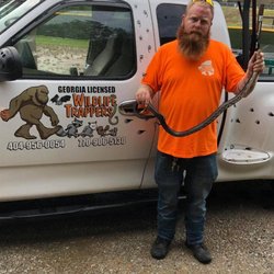 Georgia Licensed Wildlife Trappers