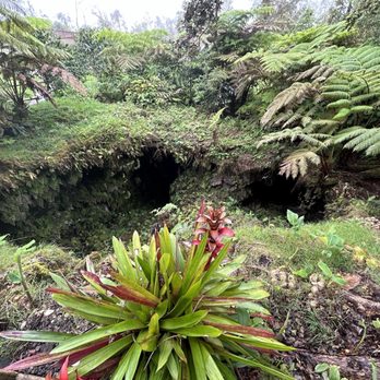 Mountain Thunder Coffee Plantation - Coffee & Tea Near Me - Kailua-Kona, Hawaii