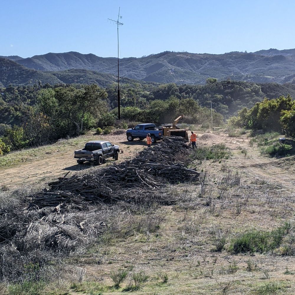 San Diego Tree Stars - Before - Tree Services Near Me - Oceanside, California San Diego Tree Stars - Before - Tree Services Near Me - Oceanside, California