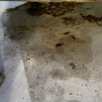 Jiffy Lube - All the oil from my car - Auto Repair Near Me - Los Angeles, California