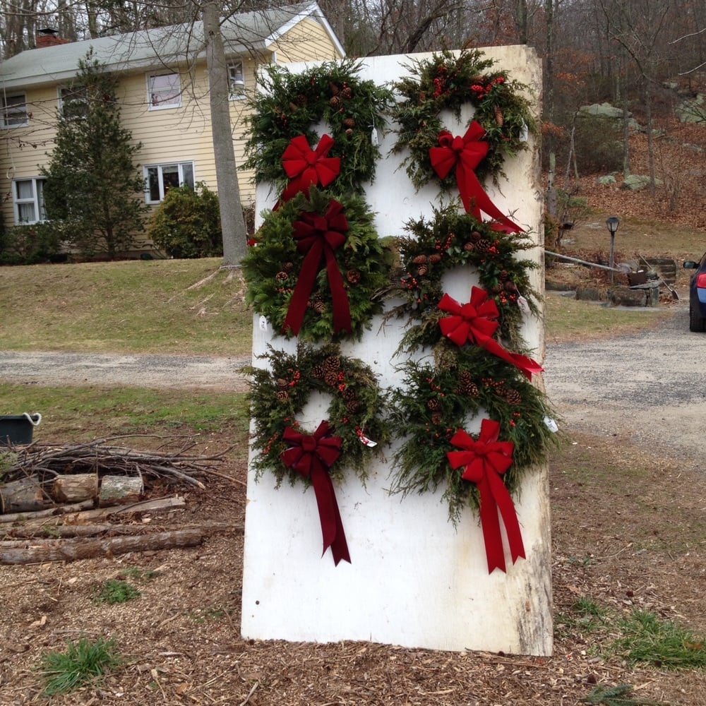 JOE’S CHRISTMAS TREE FARM Updated August 2024 57 Plains Rd, Deep