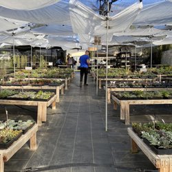 Evergreen Farm - Place