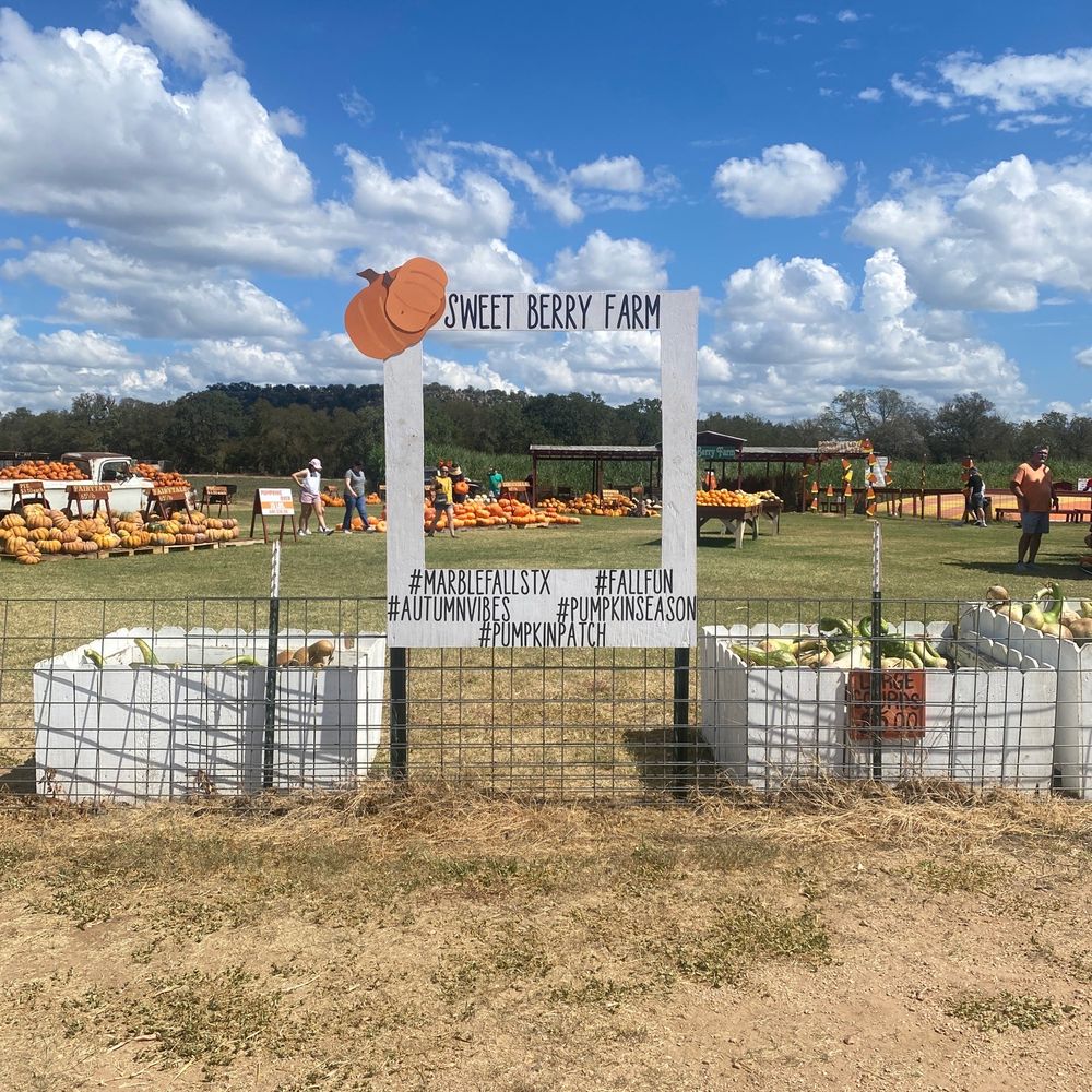 Sweet Berry Farm - Attraction Farms Near Me - Marble Falls, Texas