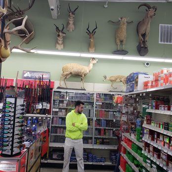 Dauenhauer Painting - Green wall ace - Painters Near Me Dauenhauer Painting - Green wall ace - Painters Near Me