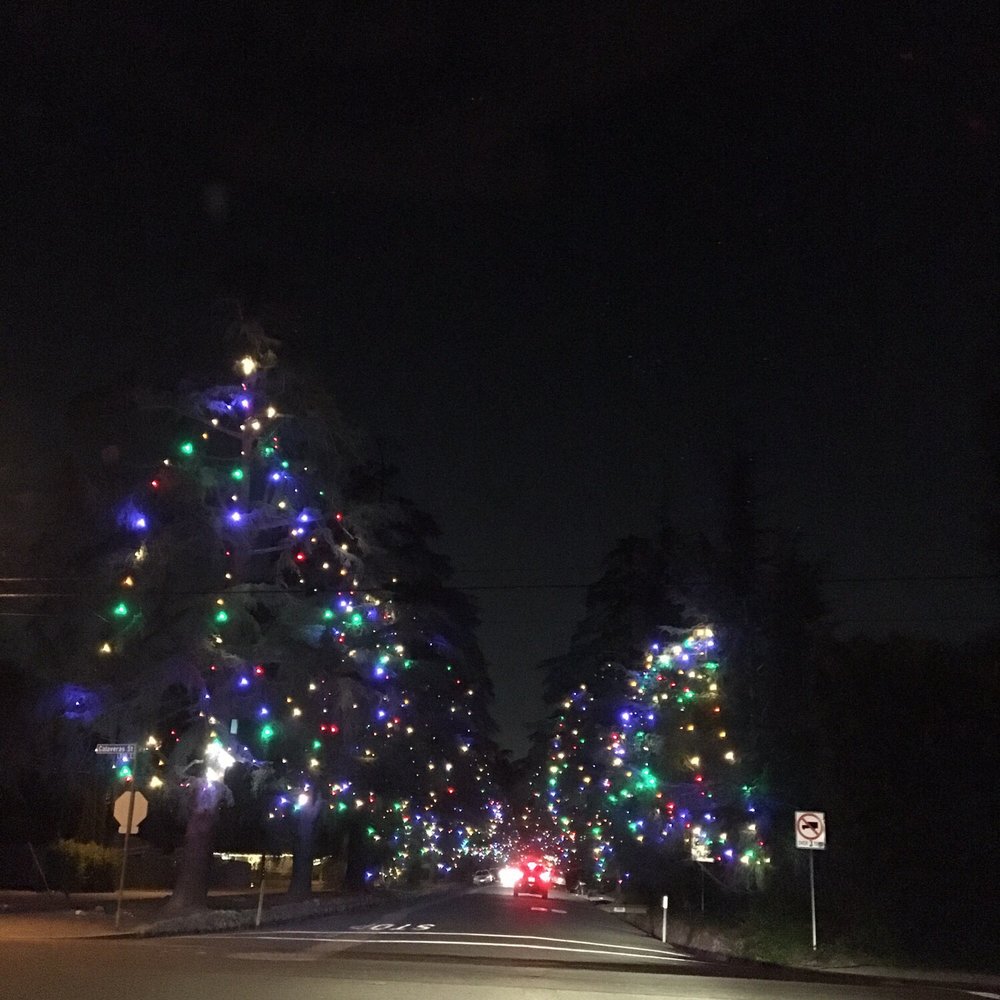Christmas Tree Lane - Christmas Trees Near Me - Altadena, California Christmas Tree Lane - Christmas Trees Near Me - Altadena, California