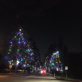 Christmas Tree Lane - Christmas Trees Near Me - Altadena, California