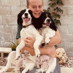 Marathon Veterinary Hospital, A Thrive Pet Healthcare Partner - Dog boarding and daycare available
