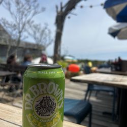 The Canteen - Celery soda!