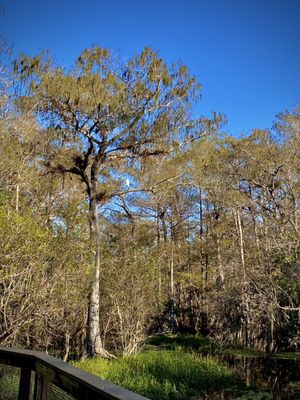 Kirby Storter Roadside Park by null