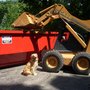 Photo of All Disposal & Recycling