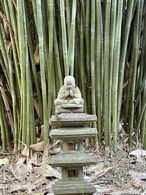 Kanapaha Botanical Gardens by null