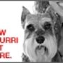 Photo of Paw-Pourri Pet Care