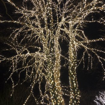 Winterlights at Newfields - Festivals Near Me - Indianapolis, Indiana