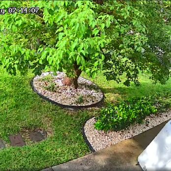 Joey's Weeding and Landscaping - Landscaping Near Me