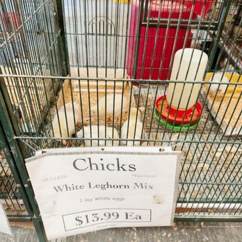 Blacksmith's Corner - Pet Stores Near Me - Bellflower, California
