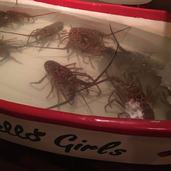 Limoncello - Fresh lobster tank - Italian Near Me - Cancún, ROO Limoncello - Fresh lobster tank - Italian Near Me - Cancún, ROO