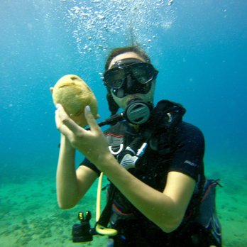 Sammy Scuba Diving - Scuba Diving Near Me - Lahaina, Hawaii Sammy Scuba Diving - Scuba Diving Near Me - Lahaina, Hawaii