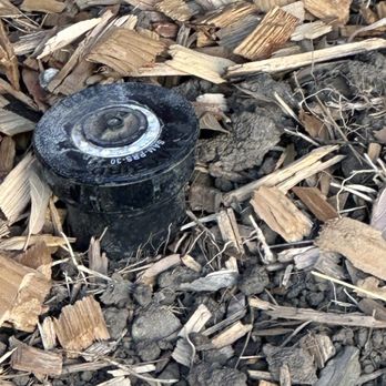 GGG Landscape - Another protruding sprinkler - Landscaping Near Me GGG Landscape - Another protruding sprinkler - Landscaping Near Me