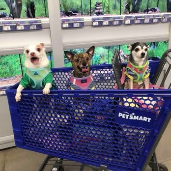 PetSmart - Pet Training Near Me - Florence, Alabama PetSmart - Pet Training Near Me - Florence, Alabama