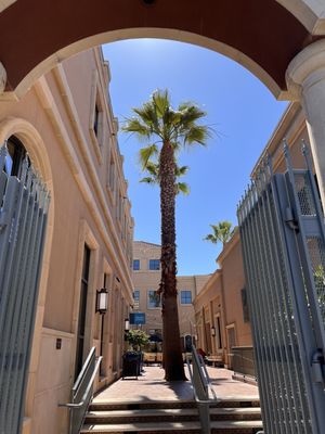 Oenotri by null Oenotri by null