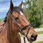 Flight And Fortune Equestrian