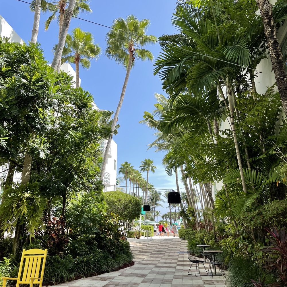 Kimpton Surfcomber Hotel - Hotels Near Me - Miami Beach, Florida Kimpton Surfcomber Hotel - Hotels Near Me - Miami Beach, Florida