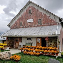 Kreps Apple Barn & Cider Mill - Barn at Kreps