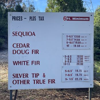 Indian Rock Tree Farm - 11.29.24 - Tree Services Near Me - Camino, California Indian Rock Tree Farm - 11.29.24 - Tree Services Near Me - Camino, California