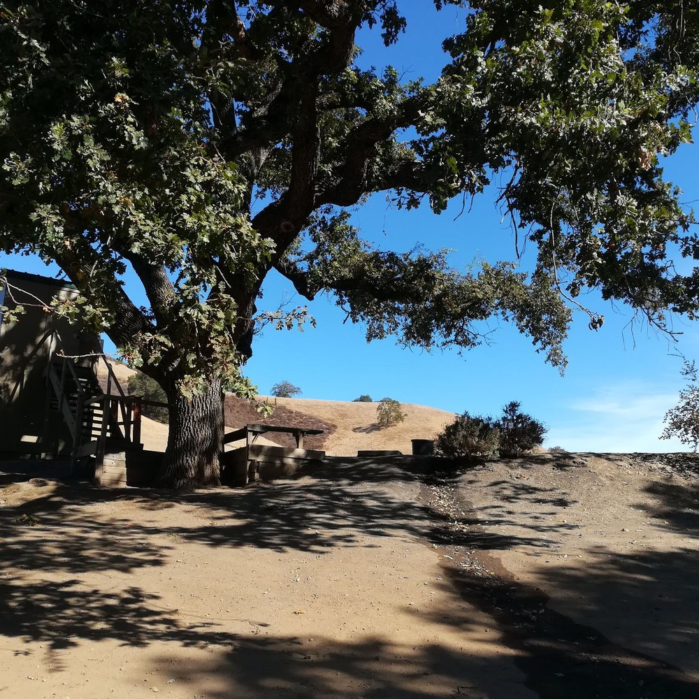 Coyote Valley Sporting Clays - Shooting station. - Gun/Rifle Ranges Near Me - Morgan Hill, California