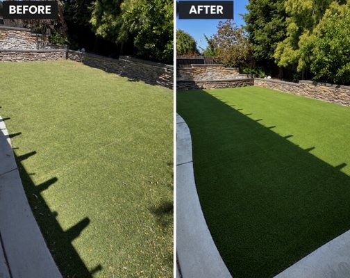Turf refresh Urine extraction Roseville - Full urine extraction and turf restoration completed by Turf Revival. We deep clean, remove pet odors, sanitize, power brush, and restore artificial turf to look and smell like new Turf refresh Urine extraction Roseville - Full urine extraction and turf restoration completed by Turf Revival. We deep clean, remove pet odors, sanitize, power brush, and restore artificial turf to look and smell like new