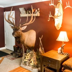 Cole Creek Taxidermy